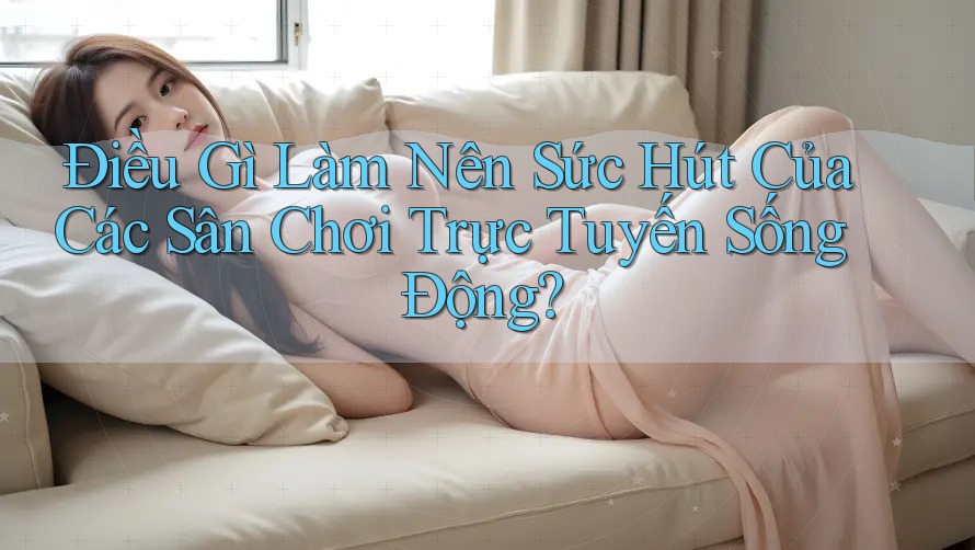 Điều Gì Làm Nên Sức Hút Của Các Sân Chơi Trực Tuyến Sống Động?