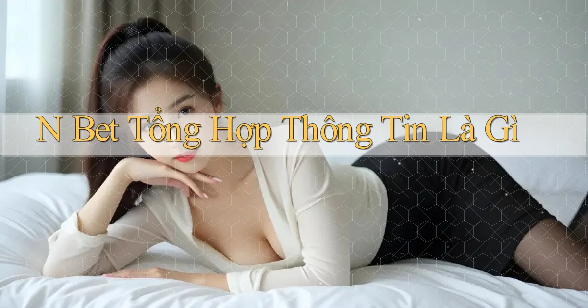 n bet tổng hợp thông tin là gì